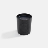 Diptyque Baies 600g Scented Candle | Kith