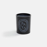 Diptyque Black Baies 300g Scented Candle | Kith