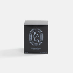 Diptyque Black Baies 300g Scented Candle | Kith