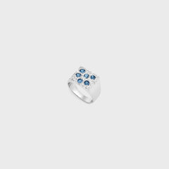 Bleue Burnham Rose Garden Signet - Blue | Kith Blue