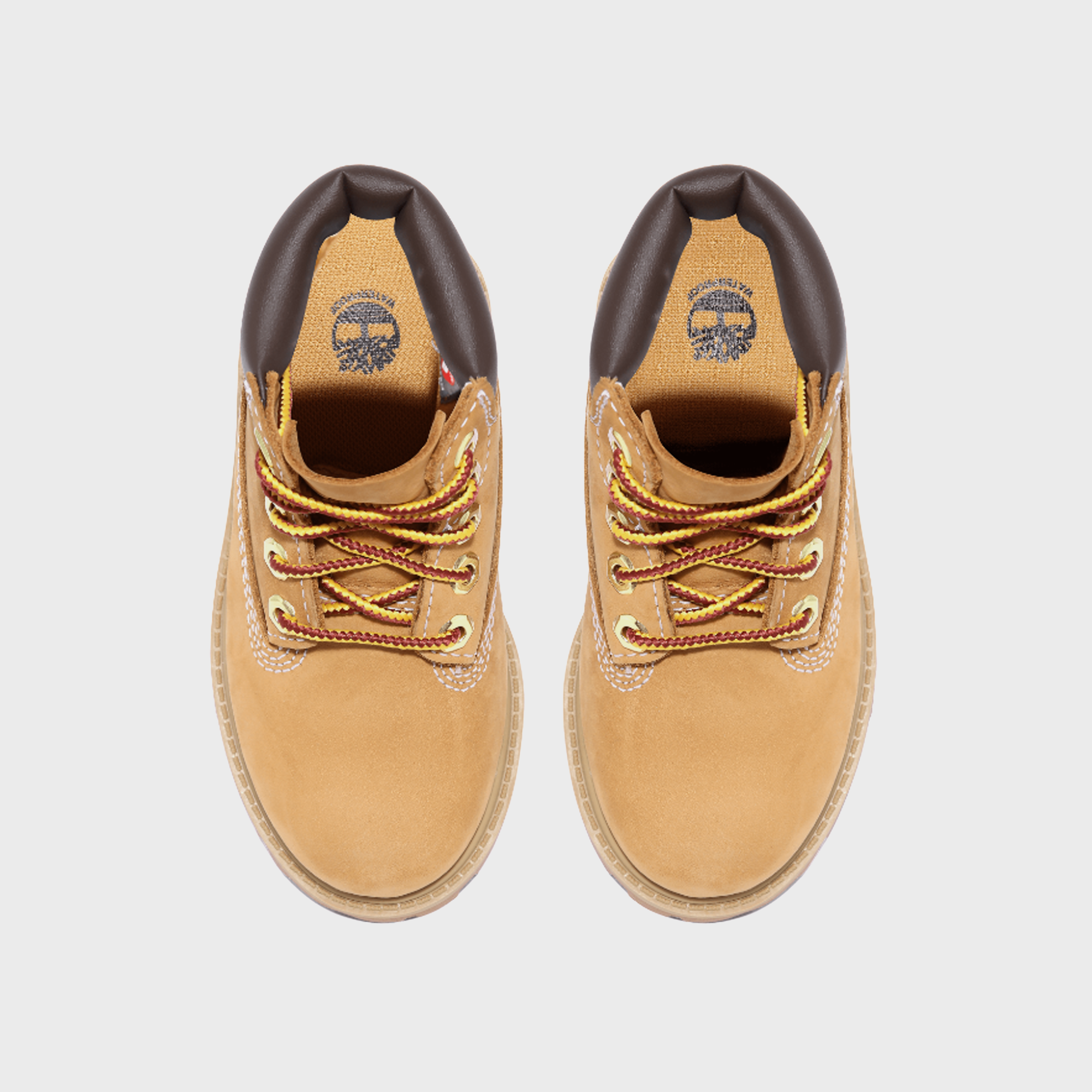 Timberland TD 6" Premium Waterproof Boot - Wheat | Kith Wheat