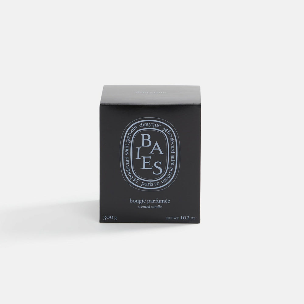 Diptyque Black Baies 300g Scented Candle | Kith