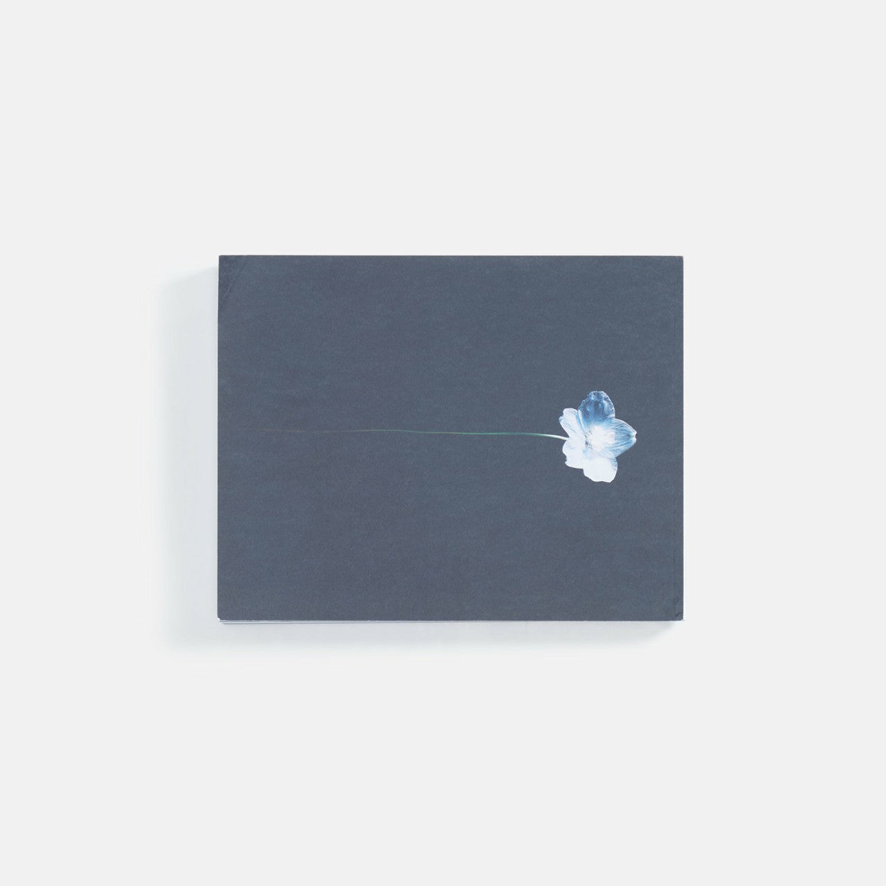 WhiteCirc Le Mile Issue 35 - Autumn / Winter 2023 | Kith Autumn / Winter 2023