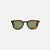 Spotted Brown Shell / Semi Flat Pure Green Polar