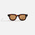 Tortoise / Brown