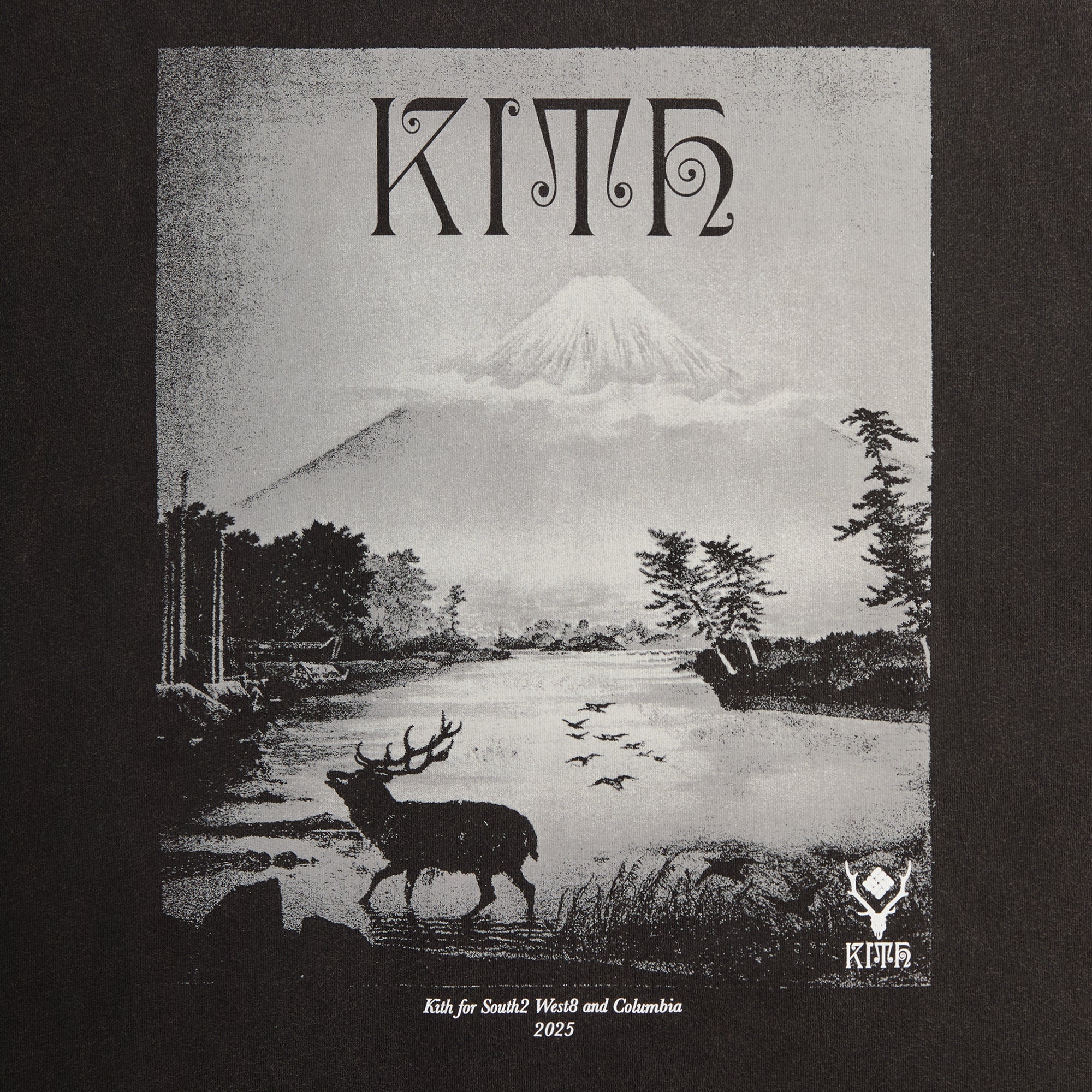 Kith & South2 West8 for Columbia Landscape Vintage Tee - Black | Kith Black