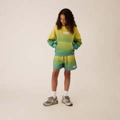 Kith Kids Ombre Nelson Pullover Hoodie - Parrot | Kith Parrot