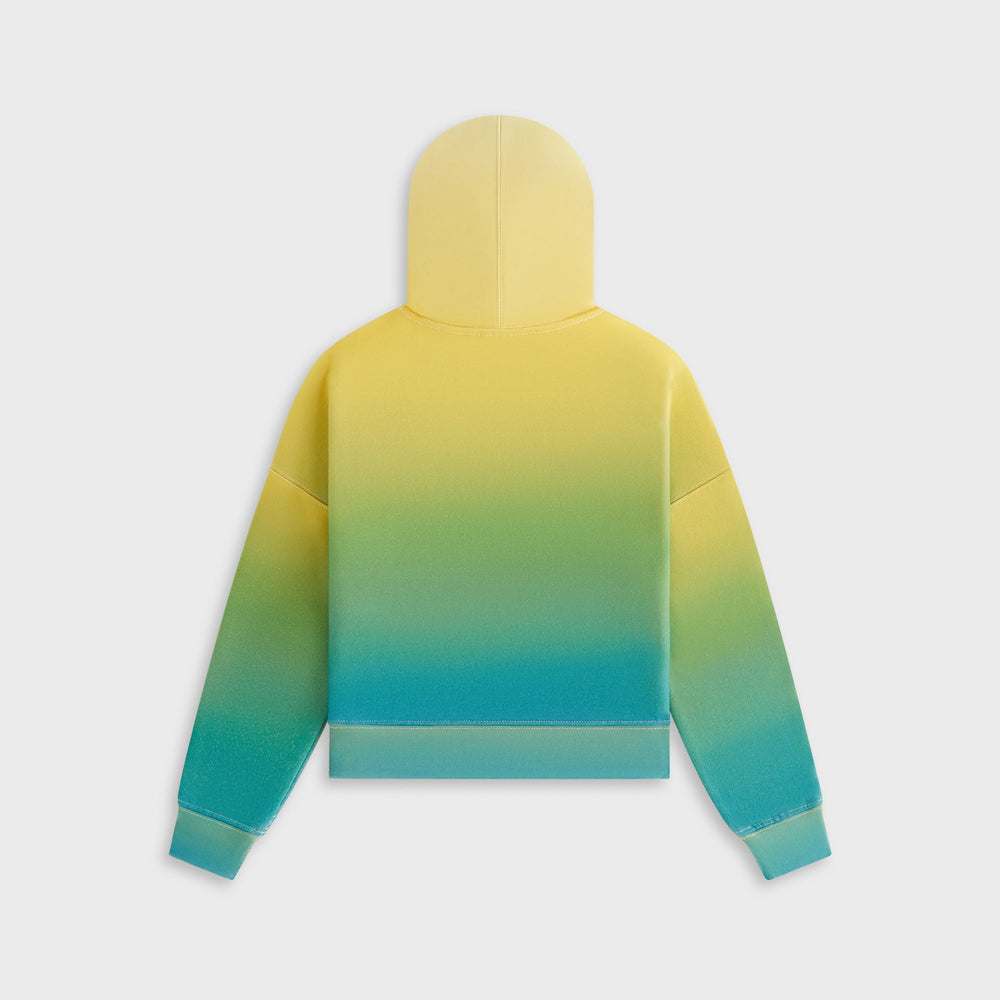 Kith Kids Ombre Nelson Pullover Hoodie - Parrot | Kith Parrot