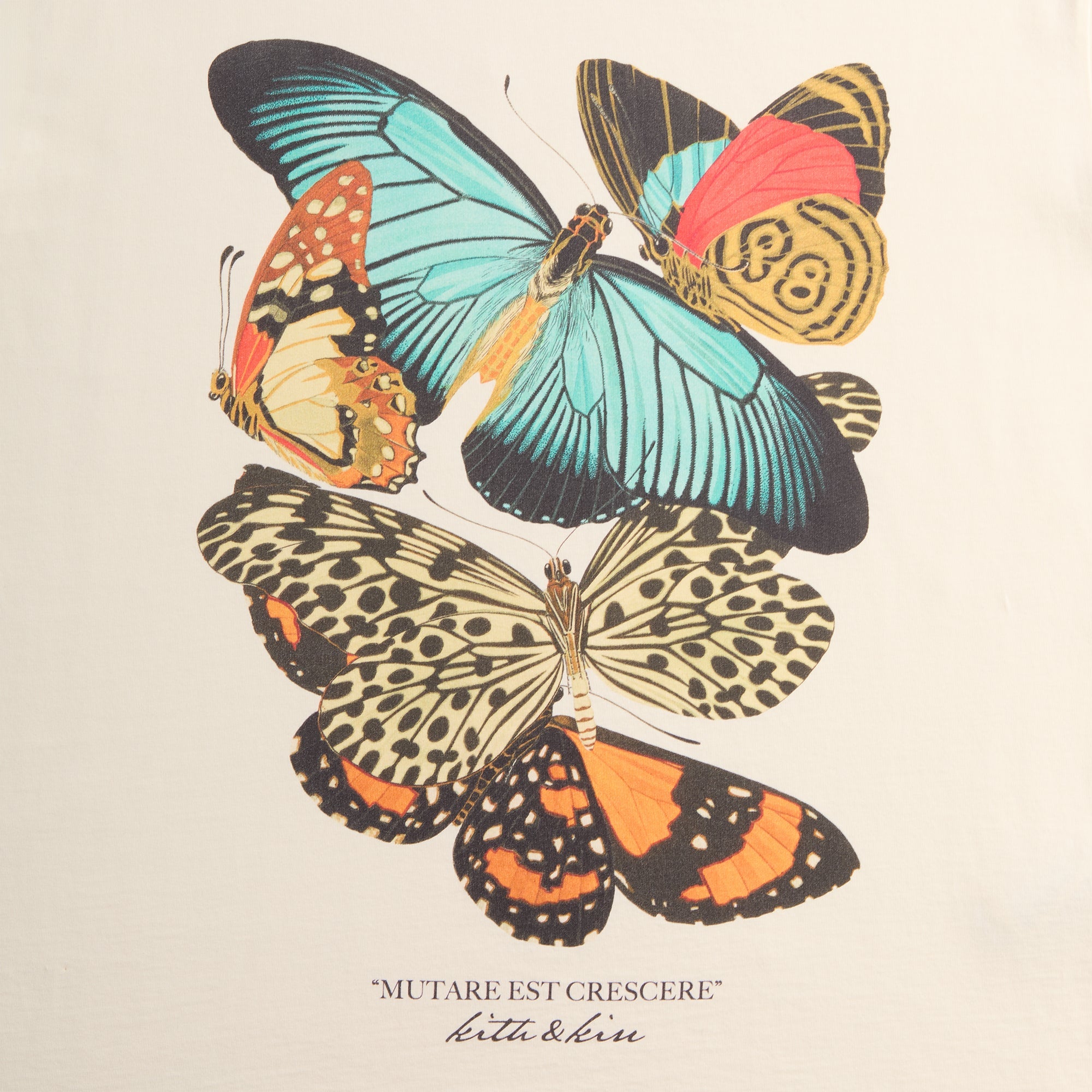 Kith Butterfly Vintage Tee - Sandrift | Kith Sandrift