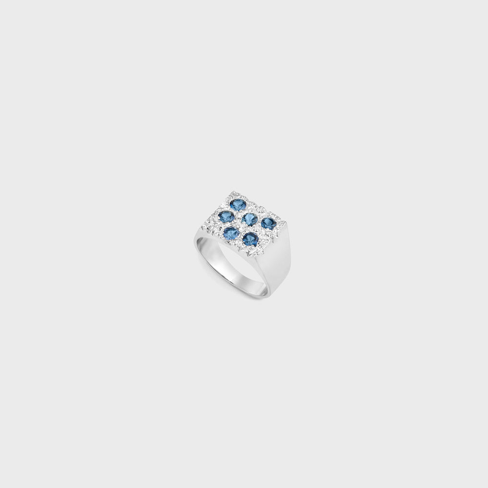 Bleue Burnham Rose Garden Signet - Blue | Kith Blue