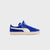 Royal / White