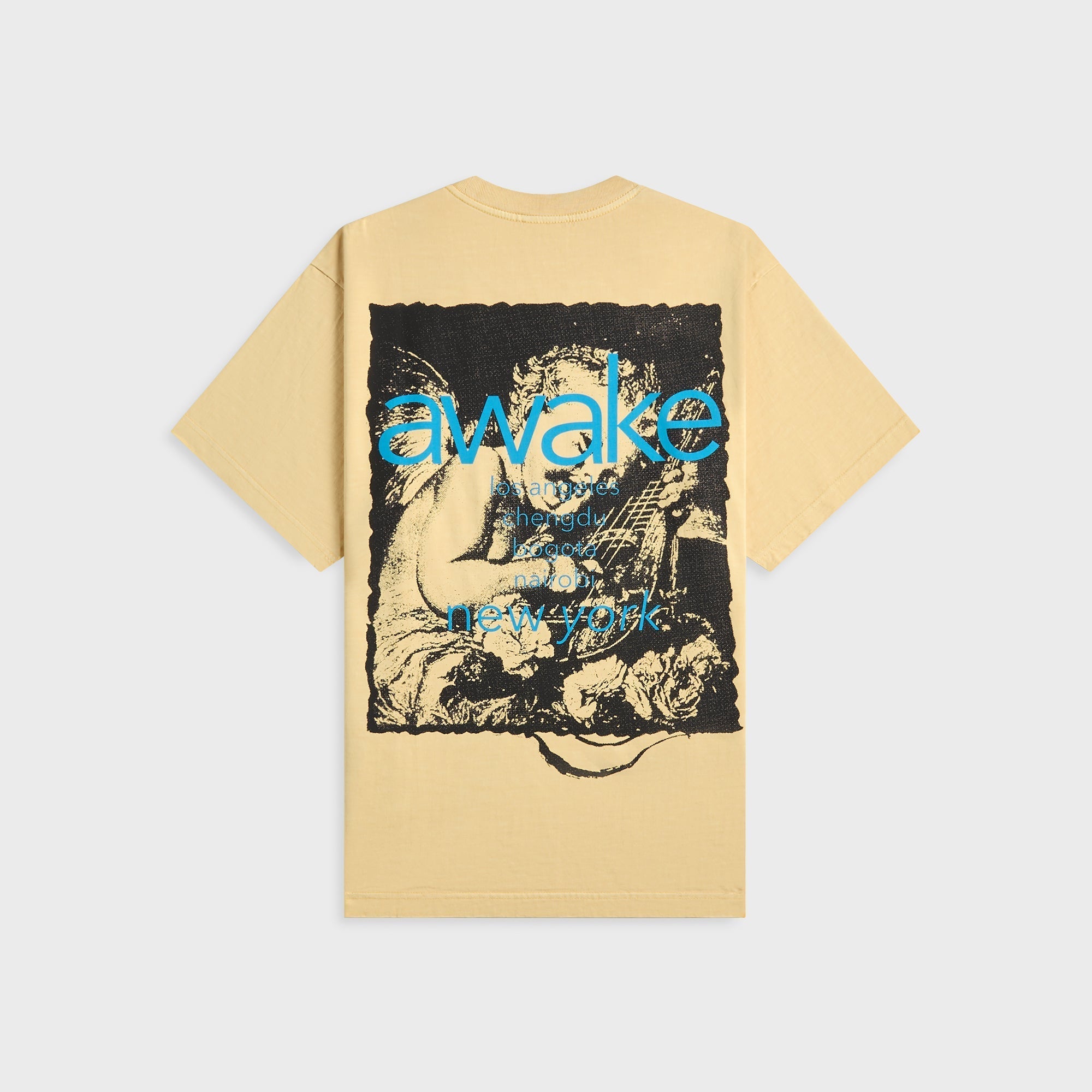 Awake NY Cherub Cities Tee - Reed | Kith Reed