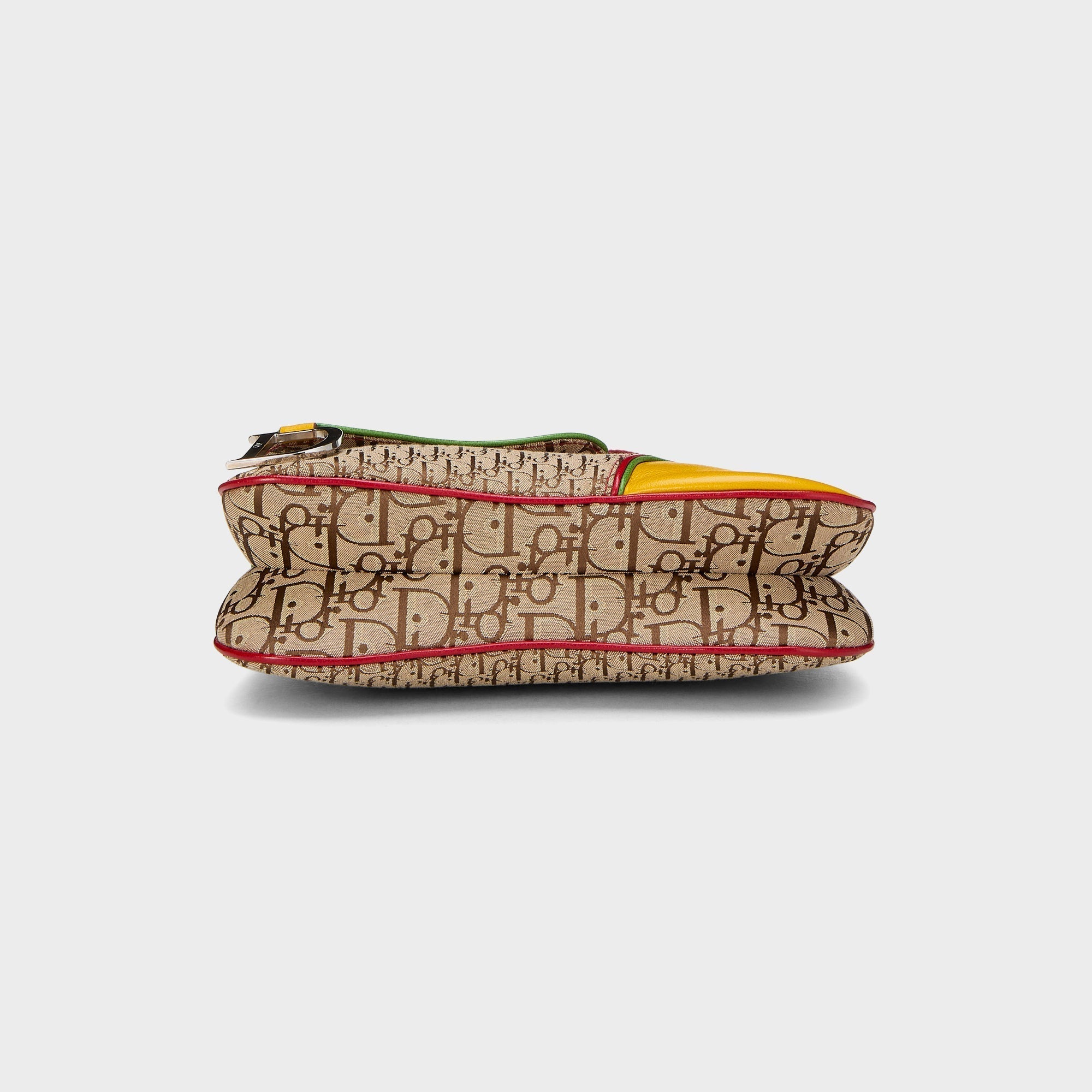 WGACA Dior Trotter Rasta Double Saddle - Multi | Kith Multi
